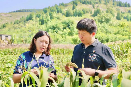 王浩 鋪就鄉村振興路 行動書寫使命擔當