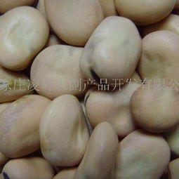 凌峰農副產品 蠶豆 凌峰農副產品