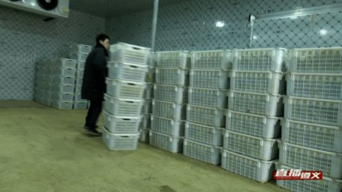 遵義特色農副產品直銷粵港澳大灣區