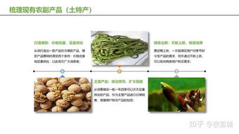 農副產品及土特產電商運營推廣想賺錢,請先了解互聯網營銷方法