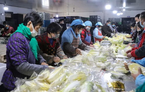 足不出戶 其實沒你想的那么糟糕