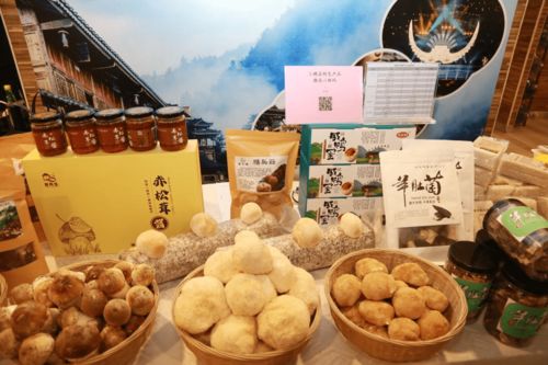 整合地域特色資源 開啟新年 消費幫扶
