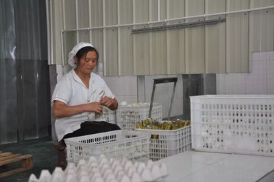 將資陽特色農產品與電商結合!來看看丹山的這家加工廠…