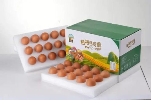 福建泉港百花蜜 花蜜茶 土雞 黑皮雞樅菌 紅團(tuán) 土雞蛋等優(yōu)質(zhì)農(nóng)副產(chǎn)品急售,歡迎選購