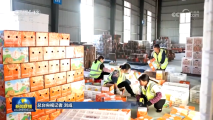 脫貧地區(qū)農(nóng)副產(chǎn)品網(wǎng)銷平臺銷售額超500億元