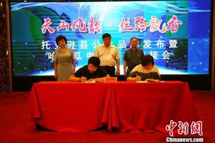 創(chuàng)公共品牌促果農(nóng)增收 托克遜借電商拓展農(nóng)副產(chǎn)品銷售渠道