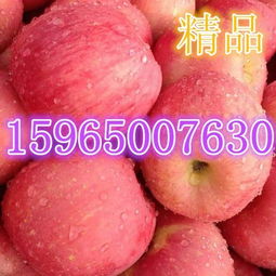 圖片,海量精選高清圖片庫 莒縣傲翔農(nóng)副產(chǎn)品購銷處