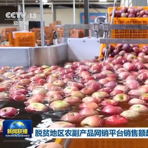 脫貧地區農副產品網銷平臺銷售額超500億元