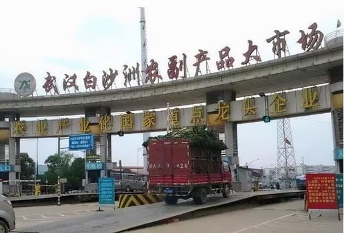 武漢白沙洲市場,咱能不給武漢丟人嗎