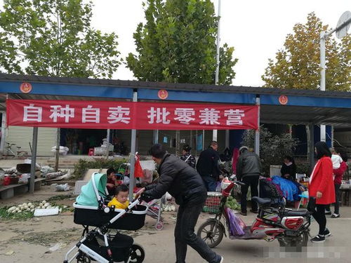 農民進城銷售農副產品不用和城管 躲貓貓 自產自銷區助力農民