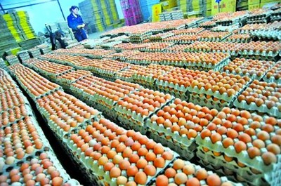 2015年9月中旬以來逾七成省份雞蛋價格下降---北京農業信息網