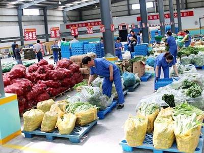 道窖專業農副產品配送哪家好