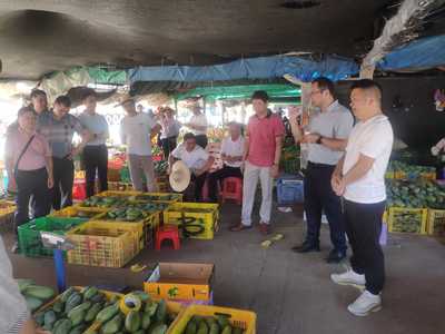 桂平市供銷合作社到田陽區考察學習