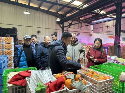 重慶市奉節縣臍橙產業協會一行到沈陽地利農產品批發市場考察調研