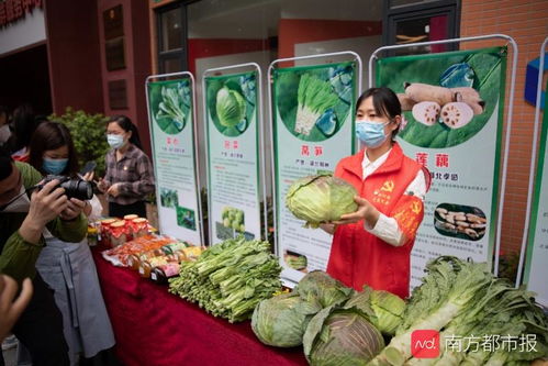 湖北農產品滯銷,廣東出手了 200噸湖北果蔬今日抵穗