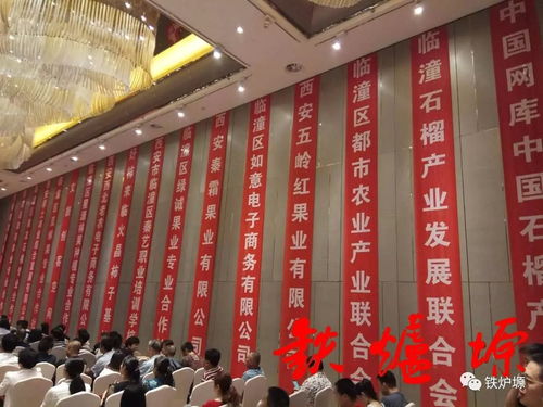 開創臨潼農副產品銷售新思路