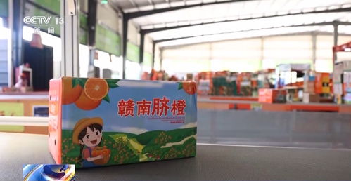 丑 蘋果變致富果 脫貧地區 土特產 這樣打開銷路