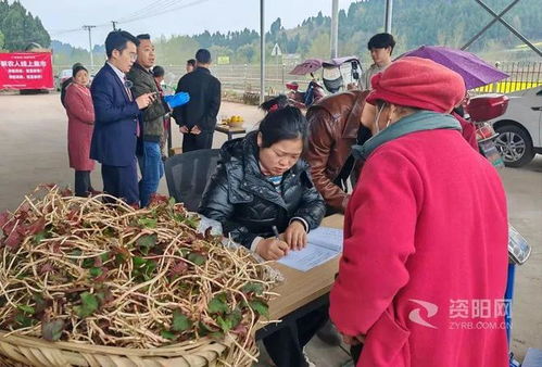 我們村的年輕人 資陽網紅村支書創辦 線上集市 幫村民賣 土貨