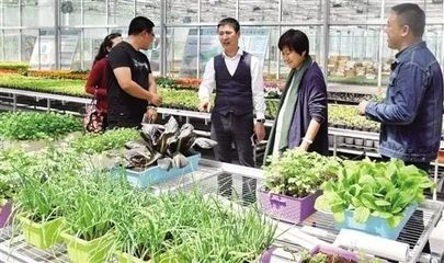休閑農莊的農副產品如何做銷售,這五種方式帶飛農產品營銷!