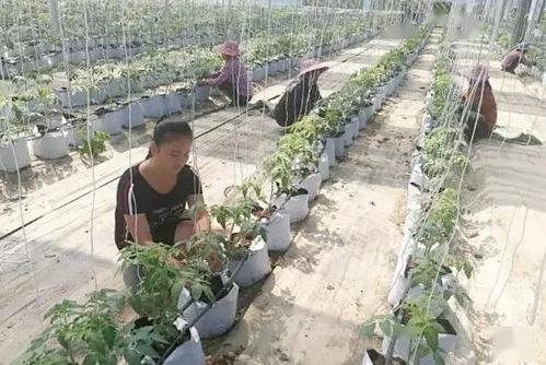 我們準備連續18個小時干這事