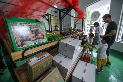 農副產品合作社助力鄉村百姓增收