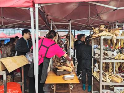 旅客和觀眾在展銷會上選購優質農副產品。王友唐攝