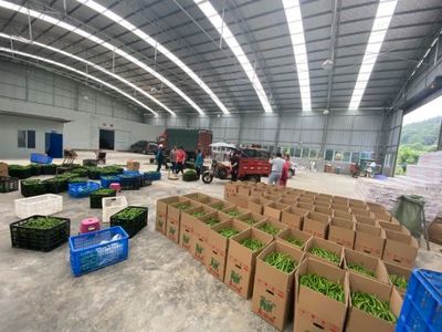 孫傳榮:走出產業融合發展之路
