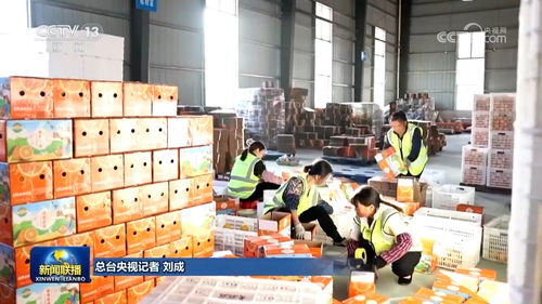 脫貧地區農副產品網銷平臺銷售額超500億元