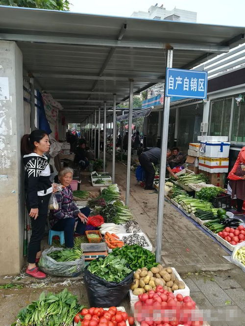 農民進城銷售農副產品不用和城管 躲貓貓 自產自銷區助力農民
