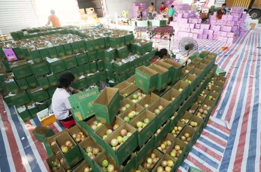 傳統零售門店,如何進行數字化轉型?