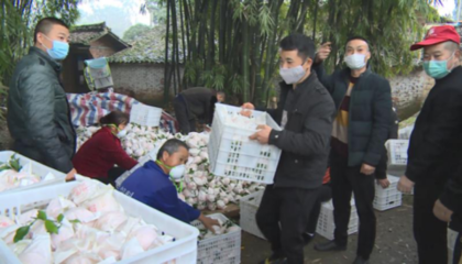 邛崍臨濟(jì)鎮(zhèn):暢通銷售渠道 安全銷售農(nóng)副產(chǎn)品