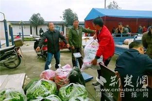 枝江百里洲辦扶貧 小集市 讓土貨就地變現(xiàn)