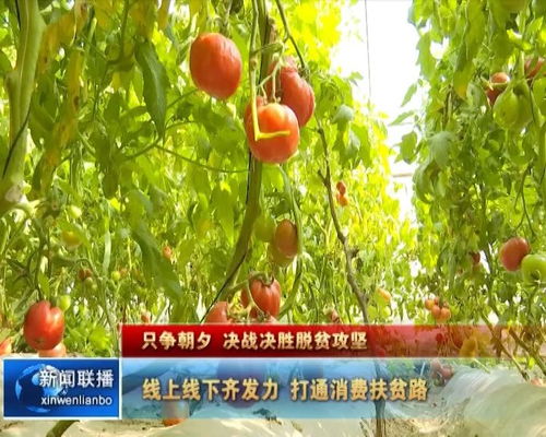 烏海農(nóng)產(chǎn)品銷售有了新渠道