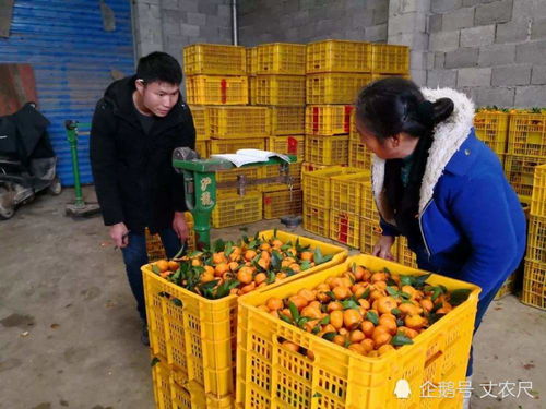 關稅大幅減免 15國簽下自貿協定,對我國農副產品,是福還是禍