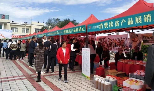 旬邑持續發力鞏固脫貧成果 全面推進鄉村振興