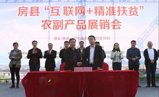 房縣電商扶貧兩天銷售農副產品713萬元