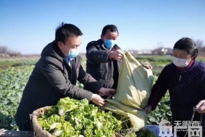 光山縣鑫磊農業專業合作社