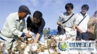 中國棉花種子供應商|棉花種子最新銷售價格|棉種12月求購價格_農副產品_世界工廠網中國產品信息庫