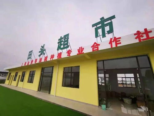 全國第三 上海唯一 從農民到 網紅主播 ,她帶火了